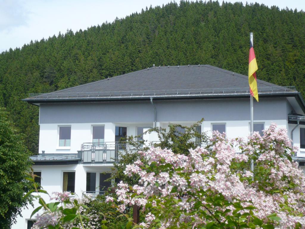 Fewo Penthaus-Blick Willingen  Exteriér fotografie