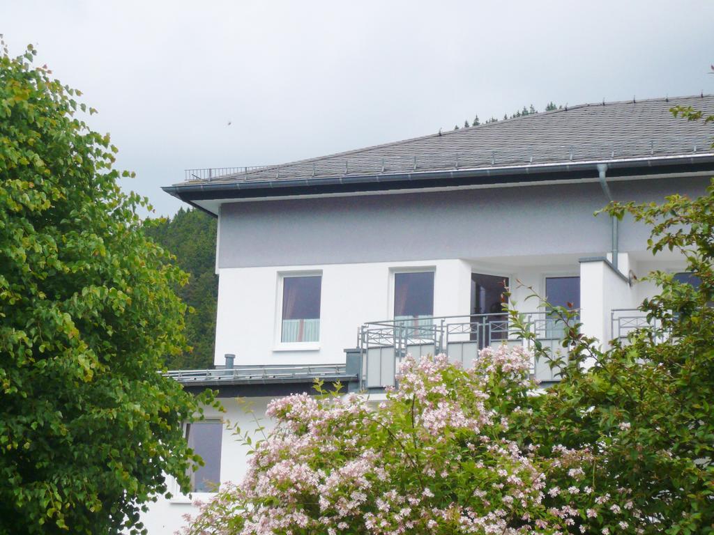 Fewo Penthaus-Blick Willingen  Exteriér fotografie